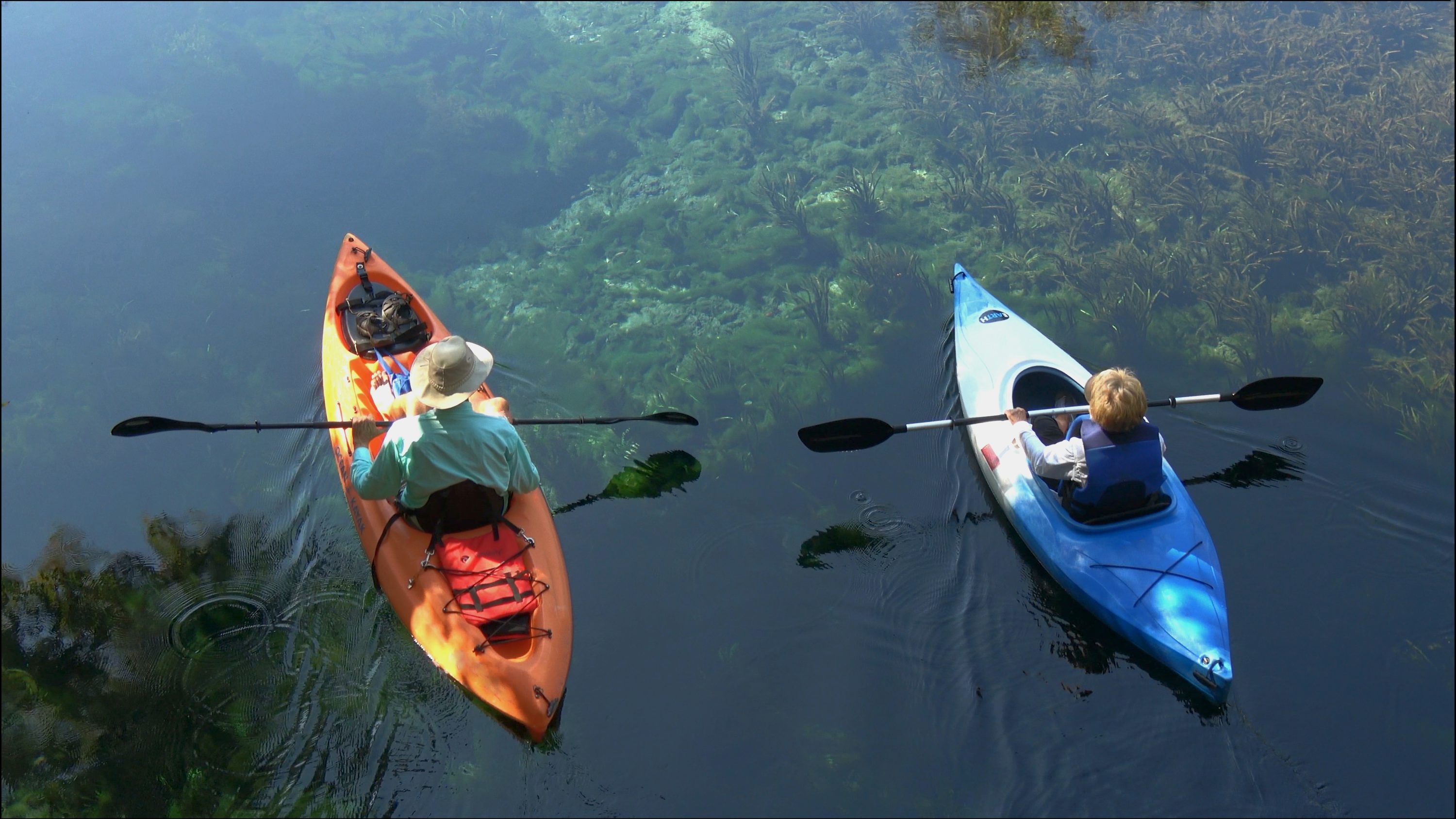 Two kayakers on calm water during an outdoor tour.